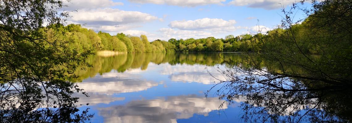 Dinton Pastures Country Park