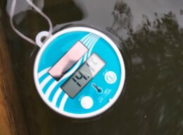 water temp water temp